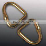 1" D Ring for Ratchet Tie Down(polyester Webbing)