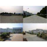 Shanghai Sinofun Rides Co., Ltd. company overview - view 1 thumbnail