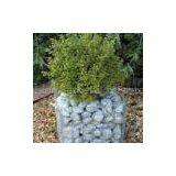 Gabion Cages thumbnail-2