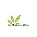 sing on well (hk) co.ltd