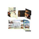 Brochure And Flyers Graphic Design Service thumbnail-1