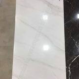 Porcelain Tile thumbnail-1