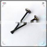 Oem 4A13-1007011 4A13-1007017 Engine Valve for 4A15 thumbnail-4