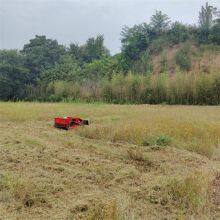 Radio Controlled Slope Mower, China rc Mower Price, Rcmower for Sale