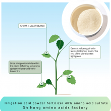 Vegetable Source Amino Acid Powder 40% Content Sulfate Chlorine Free Fully Water Soluble for Sensitive Agriculture Crops thumbnail-3