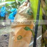 Banana Protection Bags/growing Bags for Fruit thumbnail-6