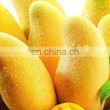 Heißverkaufende Mango-Schälmaschinen thumbnail-5