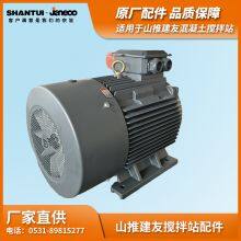 SHANTUI JANEOO Concrete Mixer Motor 37KW 55KW Y2-250M-4-B3 P55 thumbnail-4