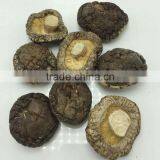 Smooth Dried Shiitake Mushroom 1KG With Stem thumbnail-6