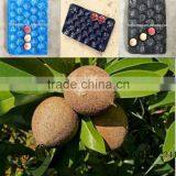 Biodegradable Plastic Thermoforming Fruit Packaging Tray thumbnail-3
