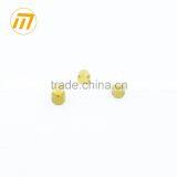 OEM Precision Brass Screw