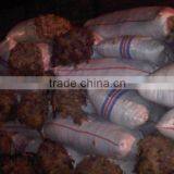 SeaWeed Please Contact me for Best Quality and Price thumbnail-1