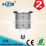 High Bay LED Light 30W Fixture Warehouse Gym Shop Factory Garage Work Shop New Security Lights