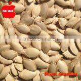 Shine Skin Pumpkin Seeds & PUMPKIN SEEDS GWS AA 9cm 9mm 10 cm up 10 mm up 11cmup 11mm up 12cm up 12mm up thumbnail-4
