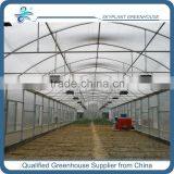 Hanging Type Sprinkling Irrigation for Greenhouse thumbnail-3