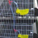 Metal Wire Mesh Layer Poultry Quail Cages With Poultry Quail Feeder Drinker thumbnail-6
