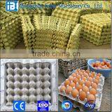 Bottle Service Tray Molding Machine From Paper Pulp thumbnail-5