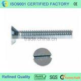 Chamfer Head Screw thumbnail-1