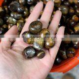 Bulk Natural Crystal Polished Tiger Eye Tumbled Stones