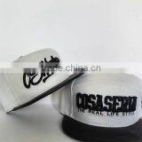 Custom Snapback Hats, High Quality Plain Snapback Caps, 3D Embroidered Caps or Printed Hats thumbnail-6