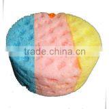 the Rainbow Round Sponge