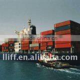 Container Shipping From Shenzhen to DOHA,Qatar thumbnail-1