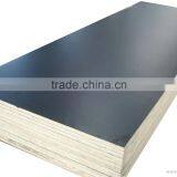 Film Faced Building Concrete Plywood thumbnail-1