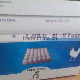 White Shell Egg Bulk Exporter thumbnail-2