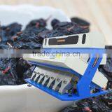 Best Sell Newest Model High Output 448 Channels Seven Slide Boards VISION Black Currant Ccd Color Sorter