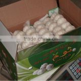 5PLY Corrugated carton for Fruit/Vegetables