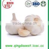 Fresh Garlic With Good Price New Fresh Normal White Garlic thumbnail-2