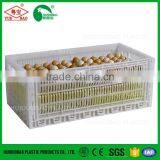 Plastic Poultry Transport Farm Egg Crate Chicken Cage for Sale thumbnail-3