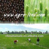 New!!! Humic Amino Acid