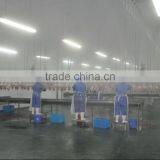 Poultry Abattoir Machinery for Slaughterhouse Equipment