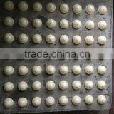 2016 High Quality PP 25mm Clear Plastic Hollow Balls Clear Plastic Round Ball thumbnail-6