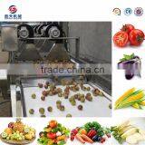 commercial potato fruit and vegetable dryer machine