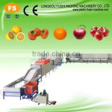 High Quality Fruit & Vegetables Washing Waxing Drying and Sorting Line