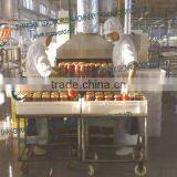 Tomato Paste Vacuum Degasser