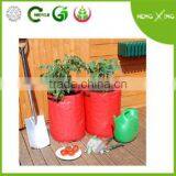 PE Vegetable/tomato/potato Planter thumbnail-1