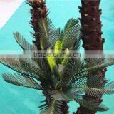 Home Garden Decorative 30cm to 200cm Height Artificial Bonsai Cycas EST11 2705 thumbnail-5