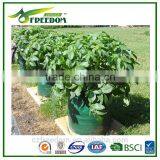 Plant Pot thumbnail-4