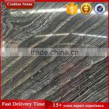 Black Wooden Vein Marble, China Polished Tree Black Marble thumbnail-1