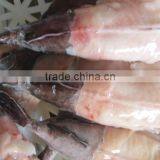 Frozen Monkfish Skin-on Tail thumbnail-4