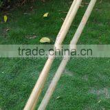 Thick Wall and Strong Tonkin Bamboo Canes for Supporting Plants at Cheap Price thumbnail-2