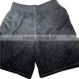Champion Boys Shorts(Garment Stock Lots / Apparel Stock / Stock Lots / Garment Apparel From Bangladesh) thumbnail-2