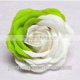 Wholesale Colorful Big Rose Flower Two - Tone Rose Diy Artificial Soap Flower thumbnail-3