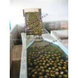 Pineapple Processing Line thumbnail-1