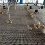 Plastic slat floor for poultry