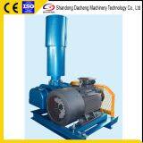 DSR200V  Blower for Waste Water Aeration for Shop and Industrial