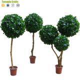 Wholesale Artificial Fake Plastic Topiary Boxwood Hedge Balls Spiral Tree thumbnail-5